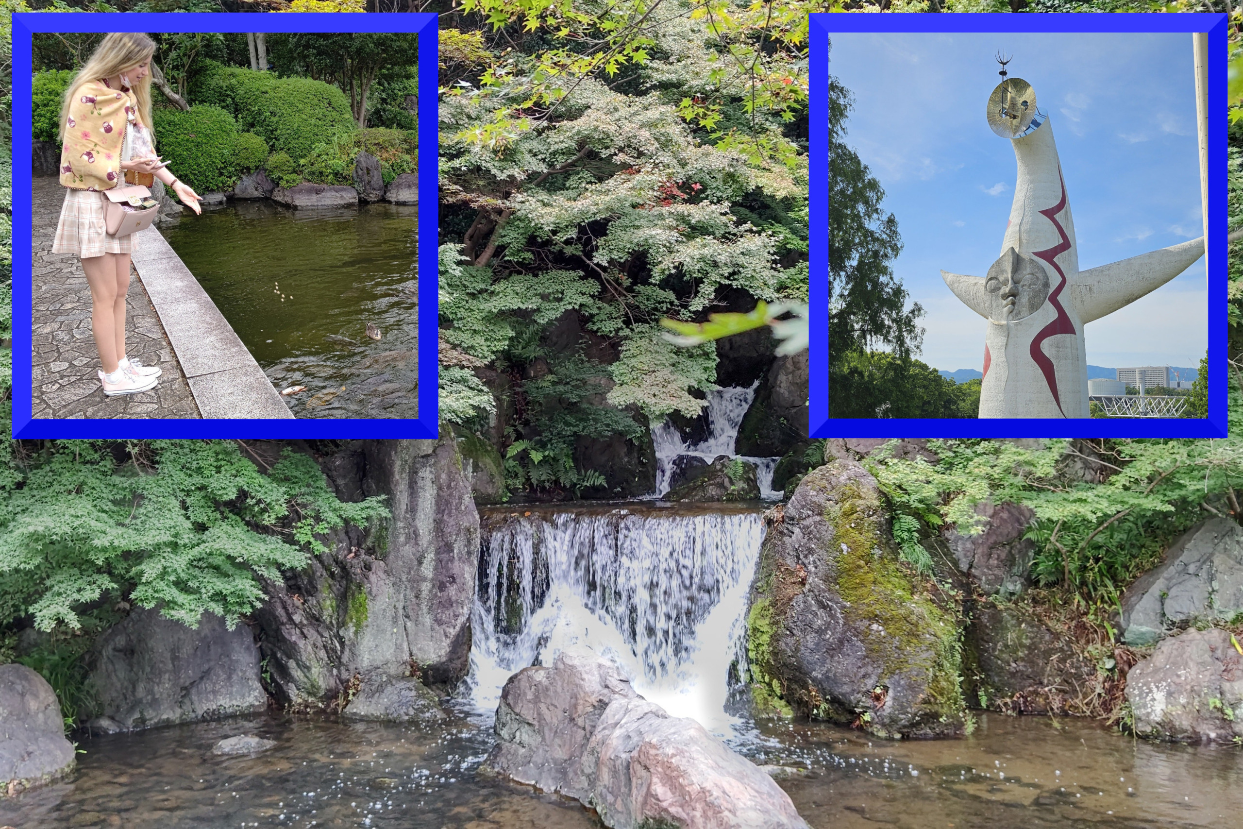 第87回】池泉回遊式庭園・造園技術の匠（滝石組・池作り）《前篇